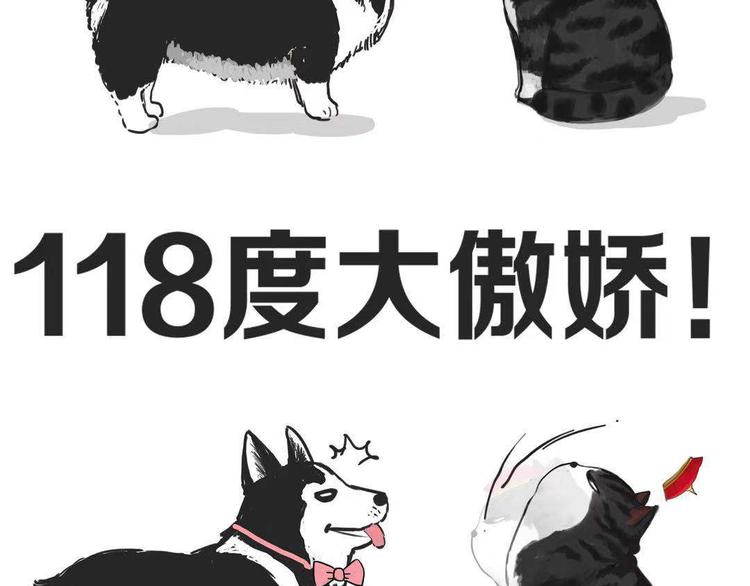 🍘吾皇巴扎黑 第149话 真正的傲娇 第45页