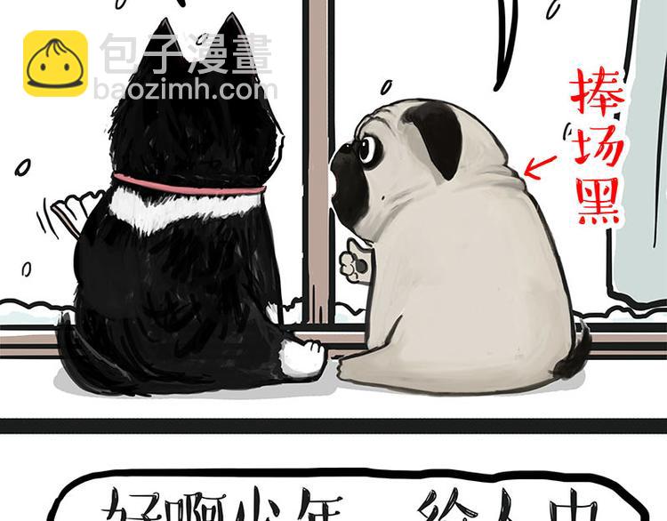 🍘吾皇巴扎黑 第149话 真正的傲娇 第5页