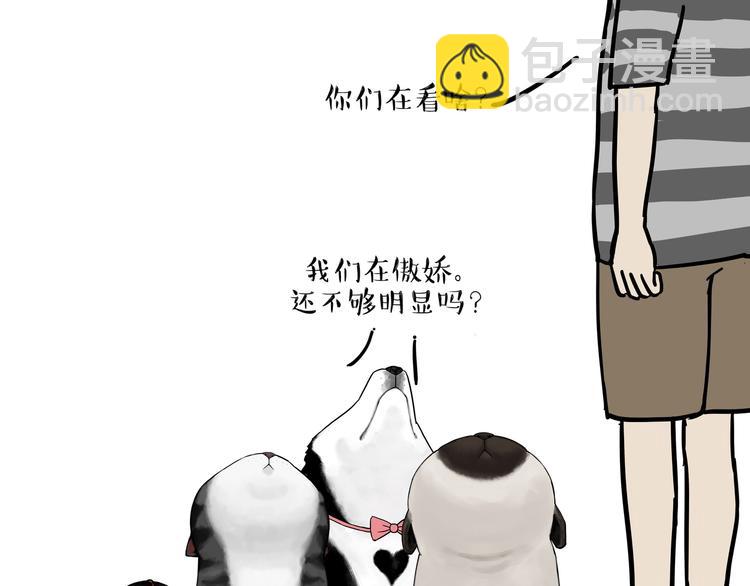 🍘吾皇巴扎黑 第149话 真正的傲娇 第50页