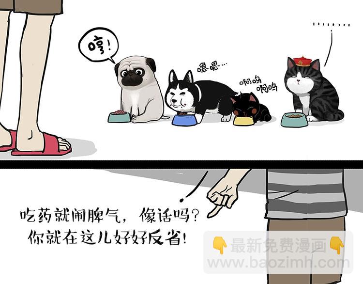 🍘吾皇巴扎黑 第151话 一声兄弟，一生兄弟 第10页