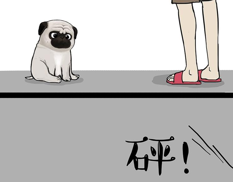 🍘吾皇巴扎黑 第151话 一声兄弟，一生兄弟 第11页