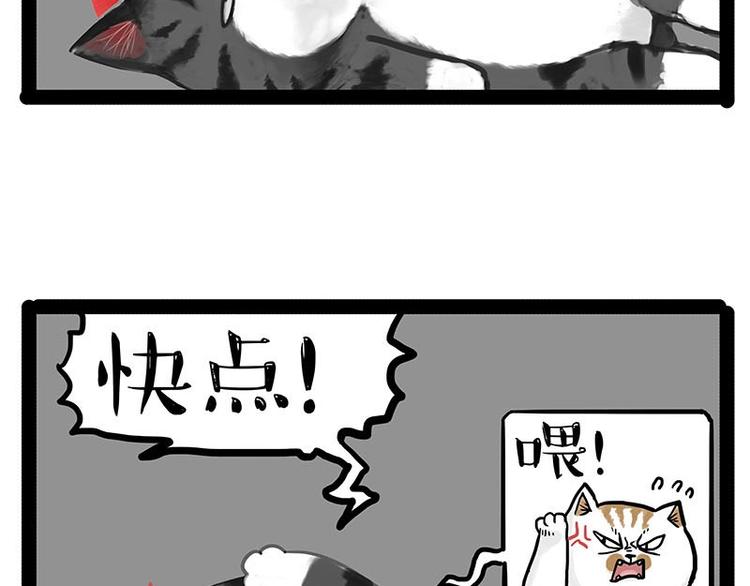 🍘吾皇巴扎黑 第151话 一声兄弟，一生兄弟 第21页