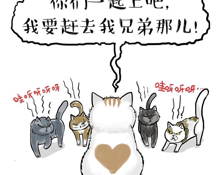 🍘吾皇巴扎黑 第151话 一声兄弟，一生兄弟 第24页