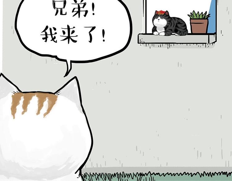 🍘吾皇巴扎黑 第151话 一声兄弟，一生兄弟 第28页
