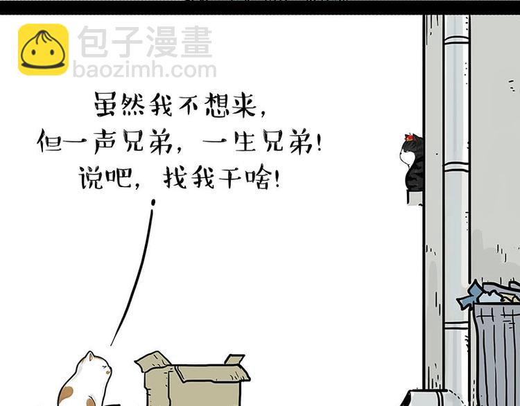 🍘吾皇巴扎黑 第151话 一声兄弟，一生兄弟 第29页