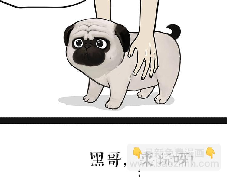 🍘吾皇巴扎黑 第151话 一声兄弟，一生兄弟 第6页