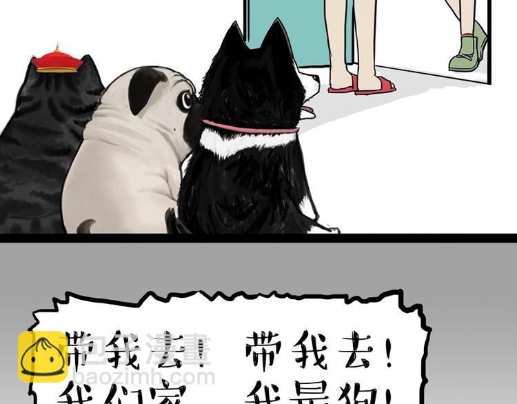 🍘吾皇巴扎黑 第153话 我最狗 第12页