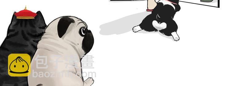 🍘吾皇巴扎黑 第153话 我最狗 第14页