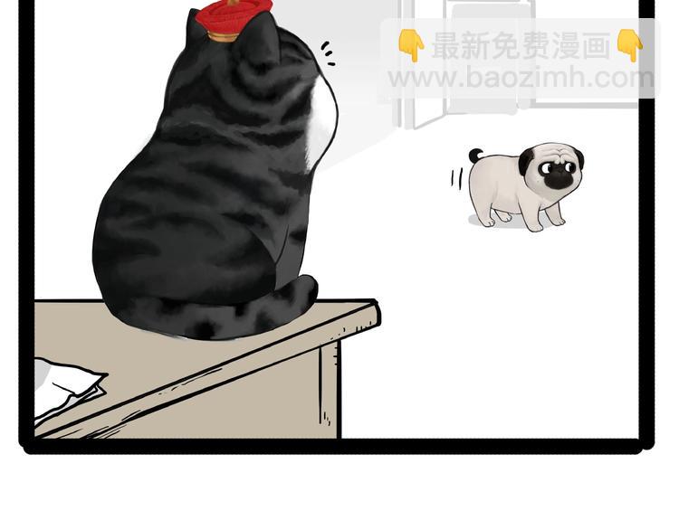 🍘吾皇巴扎黑 第153话 我最狗 第17页