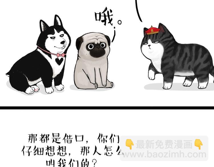🍘吾皇巴扎黑 第153话 我最狗 第4页