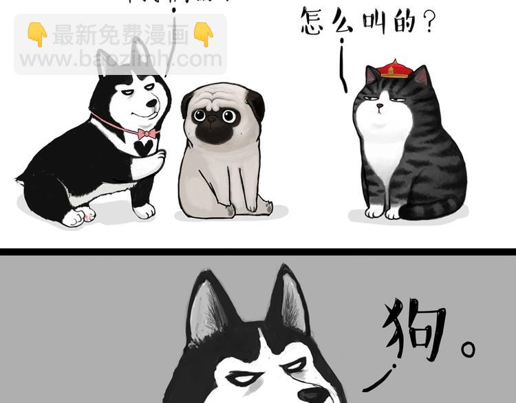 🍘吾皇巴扎黑 第153话 我最狗 第5页