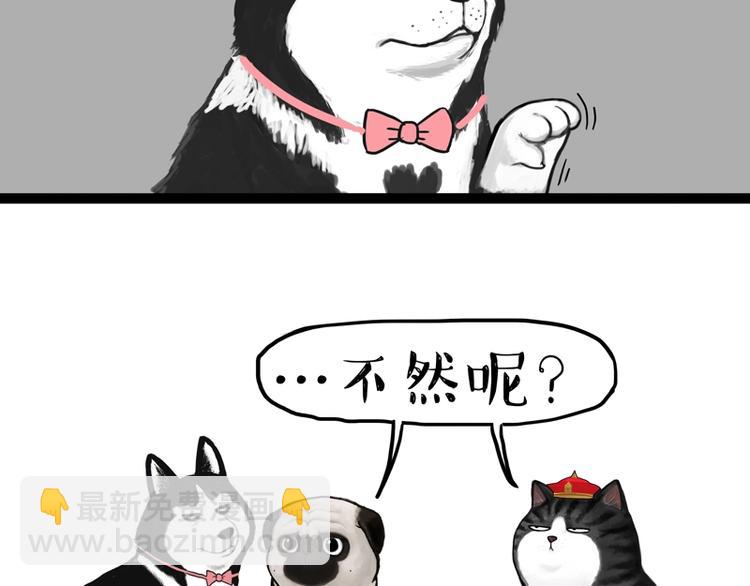🍘吾皇巴扎黑 第153话 我最狗 第6页