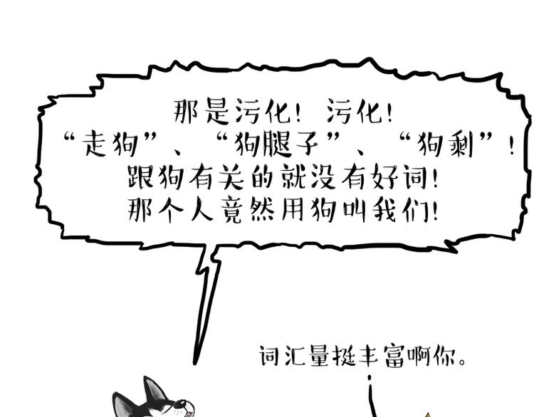 🍘吾皇巴扎黑 第153话 我最狗 第8页
