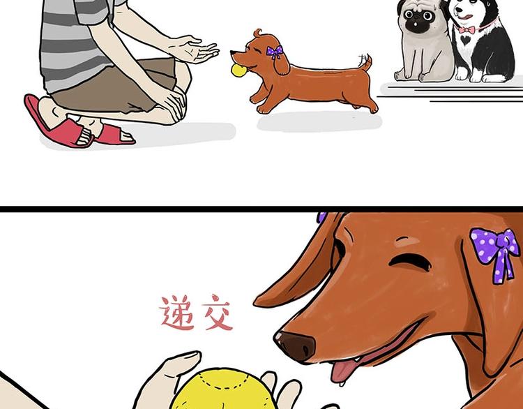 🍘吾皇巴扎黑 第155话 狗之礼仪 第11页