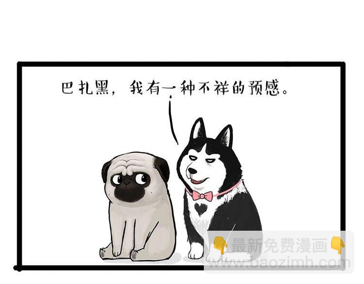 🍘吾皇巴扎黑 第155话 狗之礼仪 第15页