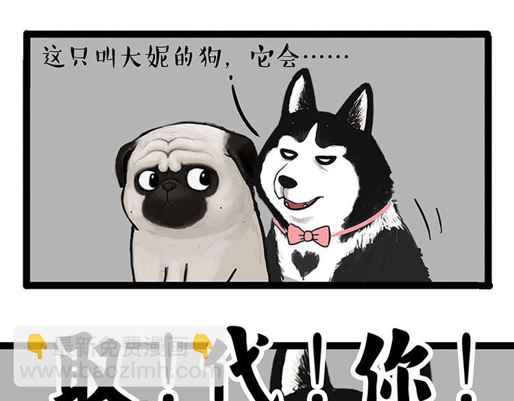 🍘吾皇巴扎黑 第155话 狗之礼仪 第16页