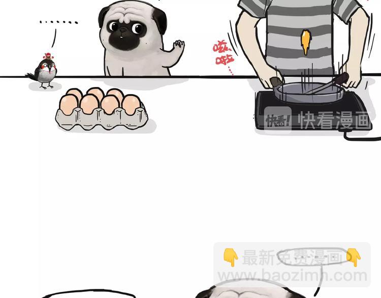 🍘吾皇巴扎黑 第157话 一颗蛋蛋 第11页