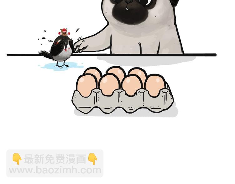 🍘吾皇巴扎黑 第157话 一颗蛋蛋 第17页