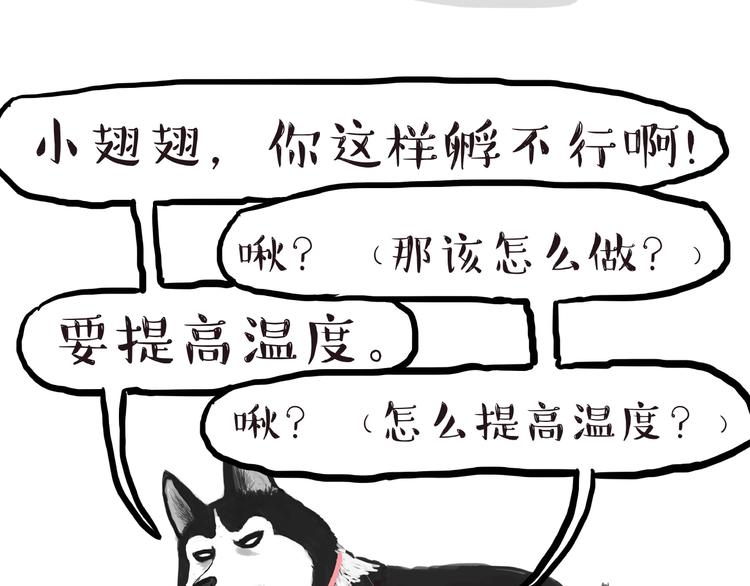 🍘吾皇巴扎黑 第157话 一颗蛋蛋 第24页