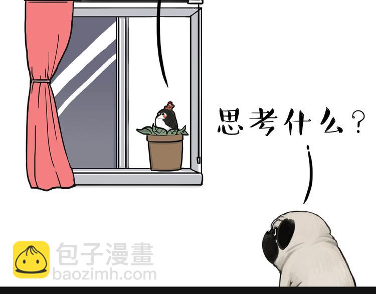 🍘吾皇巴扎黑 第157话 一颗蛋蛋 第4页