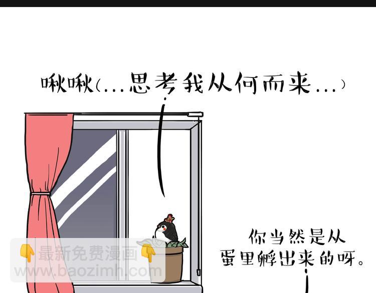 🍘吾皇巴扎黑 第157话 一颗蛋蛋 第5页
