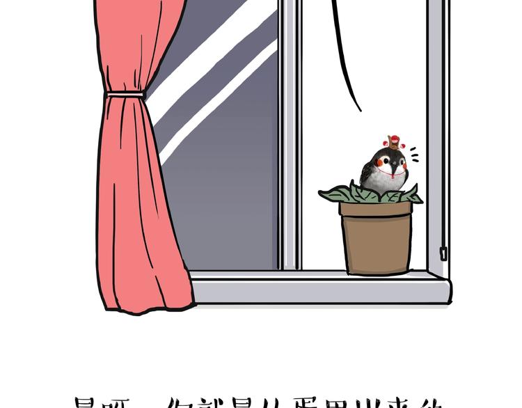 🍘吾皇巴扎黑 第157话 一颗蛋蛋 第7页