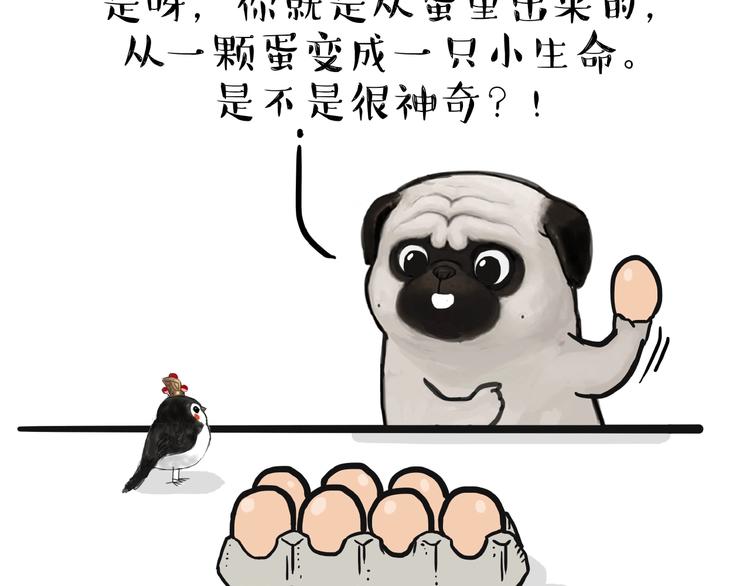 🍘吾皇巴扎黑 第157话 一颗蛋蛋 第8页