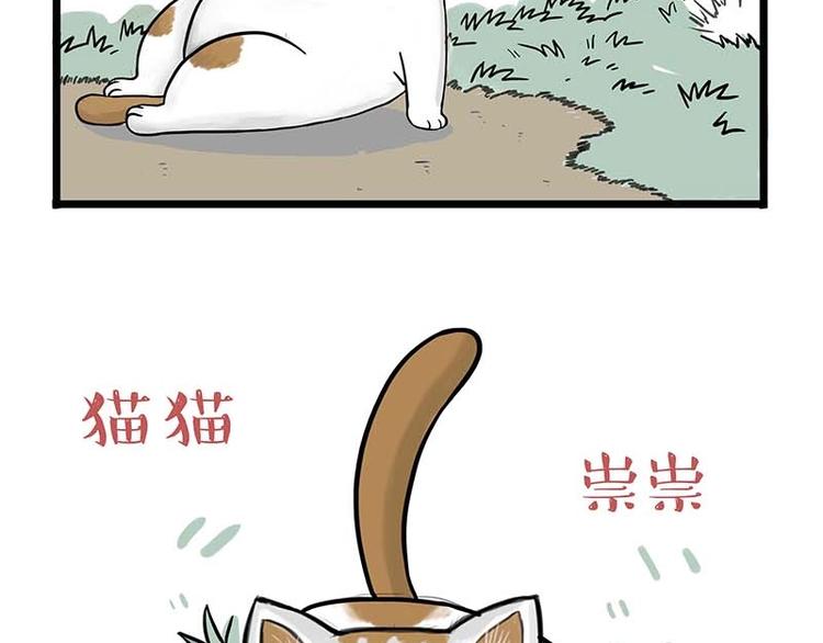 🍘吾皇巴扎黑 第159话 傲霸日常（二） 第11页
