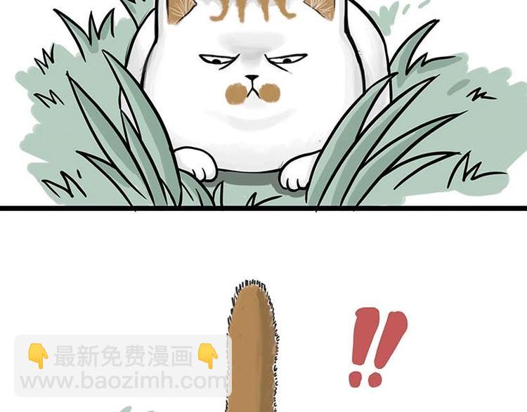 🍘吾皇巴扎黑 第159话 傲霸日常（二） 第12页