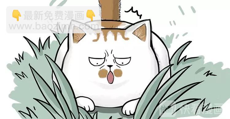 🍘吾皇巴扎黑 第159话 傲霸日常（二） 第13页