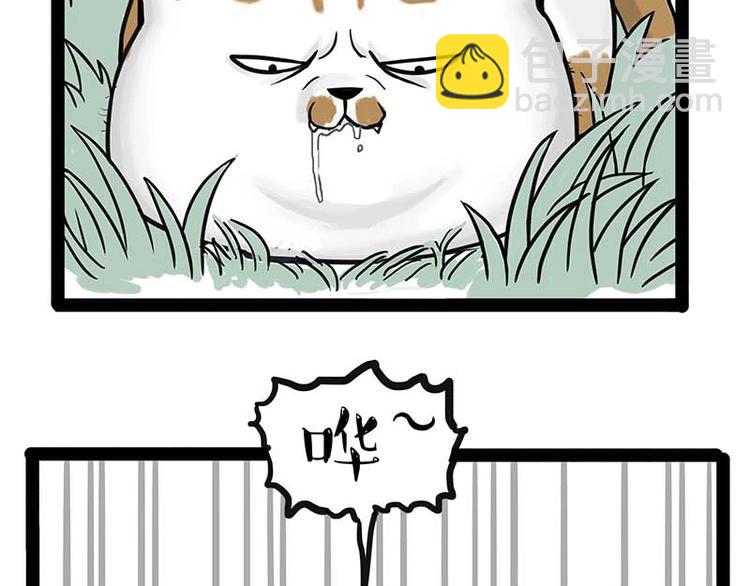 🍘吾皇巴扎黑 第159话 傲霸日常（二） 第16页