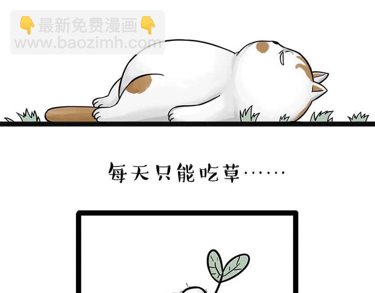 🍘吾皇巴扎黑 第159话 傲霸日常（二） 第4页