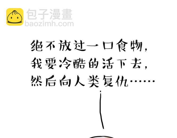 🍘吾皇巴扎黑 第159话 傲霸日常（二） 第43页