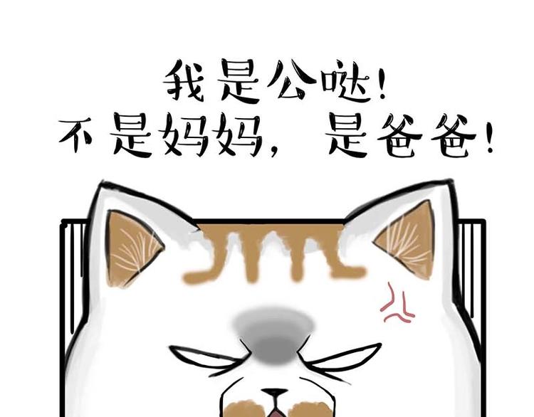 🍘吾皇巴扎黑 第159话 傲霸日常（二） 第46页