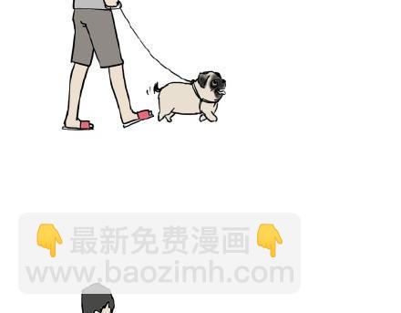 🍘吾皇巴扎黑 第17话 尽我所能，不打扰你 第14页