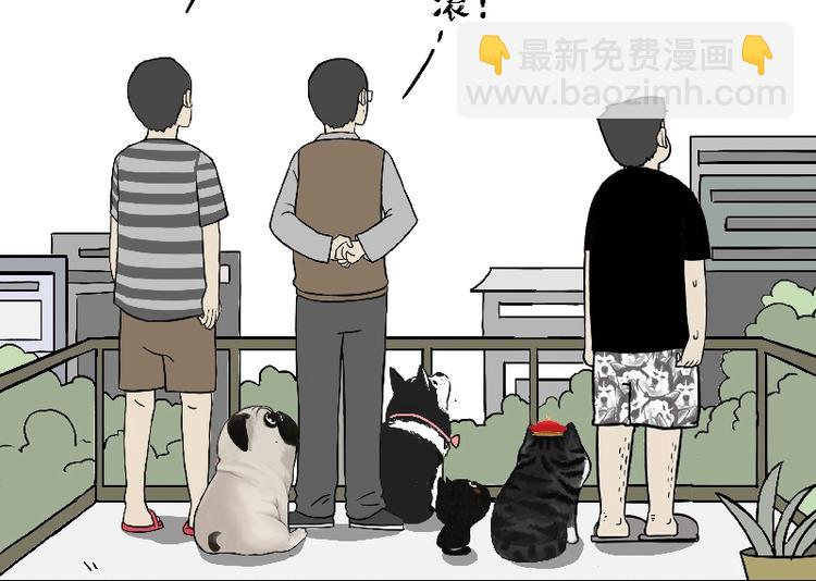 🍘吾皇巴扎黑 第163话 记得回家看看 第11页