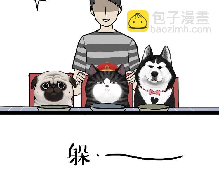 🍘吾皇巴扎黑 第163话 记得回家看看 第41页