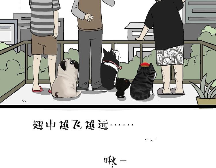 🍘吾皇巴扎黑 第163话 记得回家看看 第6页