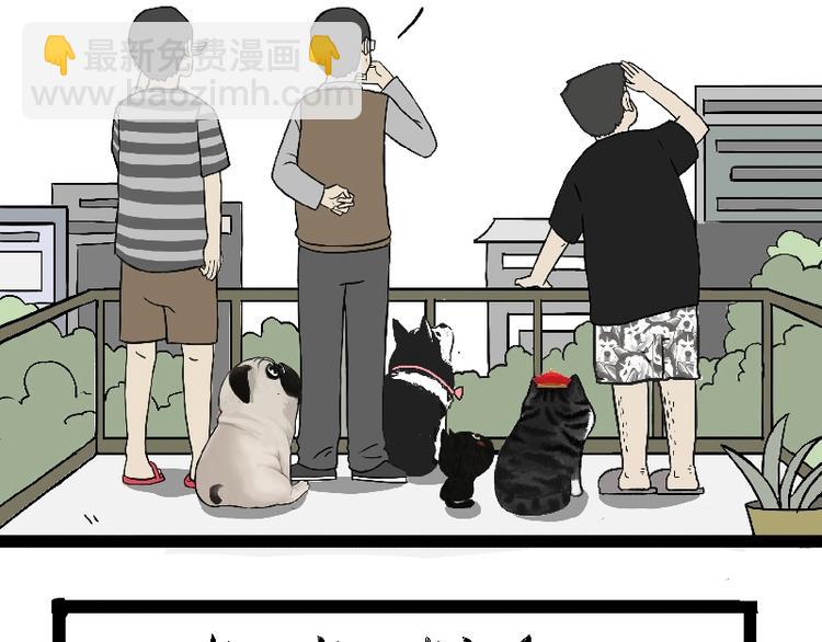 🍘吾皇巴扎黑 第163话 记得回家看看 第7页