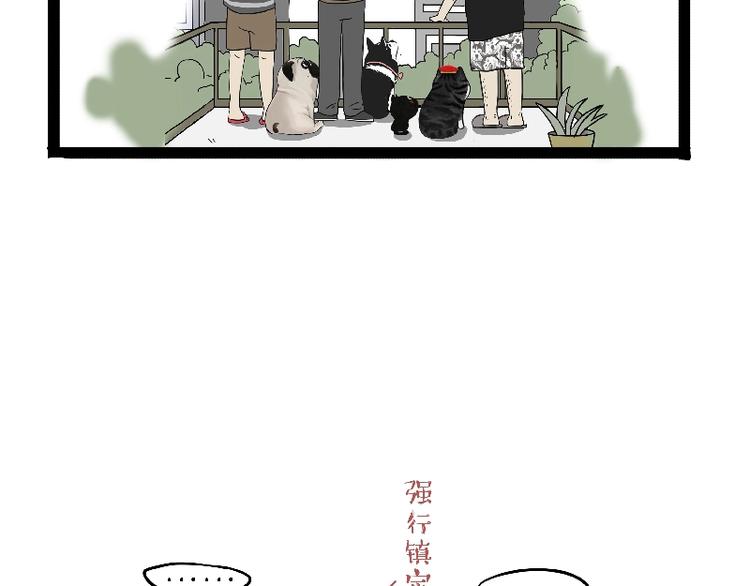 🍘吾皇巴扎黑 第163话 记得回家看看 第9页