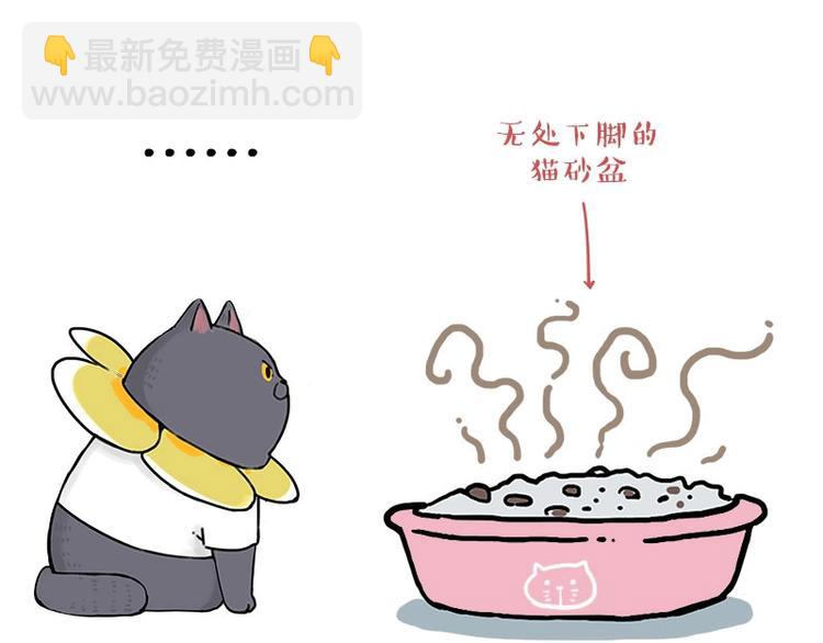 🍘吾皇巴扎黑 第165话 吾皇遇见少年之前 第10页