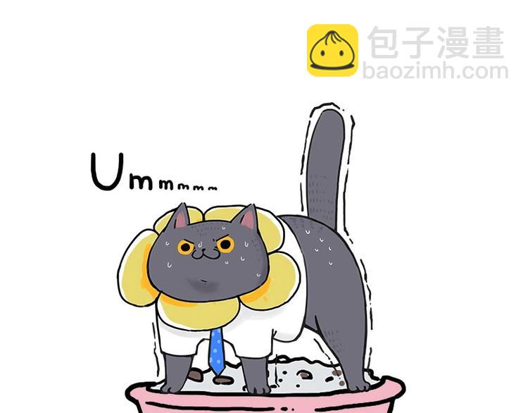 🍘吾皇巴扎黑 第165话 吾皇遇见少年之前 第11页