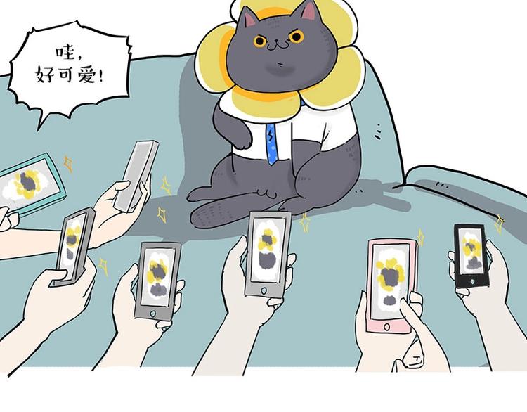 🍘吾皇巴扎黑 第165话 吾皇遇见少年之前 第22页