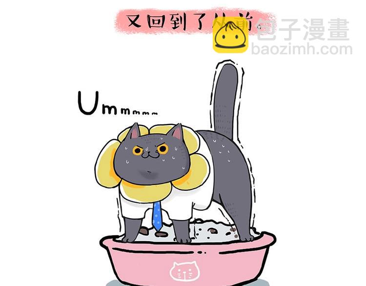 🍘吾皇巴扎黑 第165话 吾皇遇见少年之前 第23页