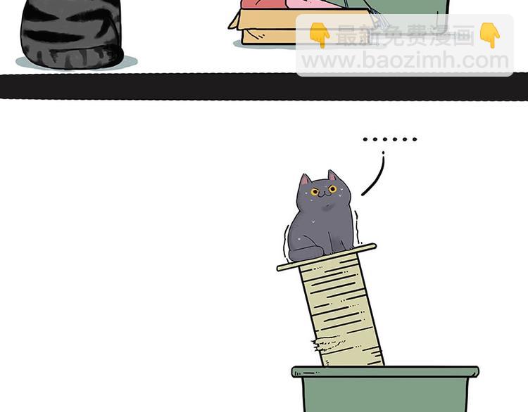 🍘吾皇巴扎黑 第165话 吾皇遇见少年之前 第36页