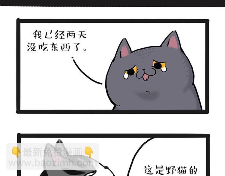 🍘吾皇巴扎黑 第165话 吾皇遇见少年之前 第39页