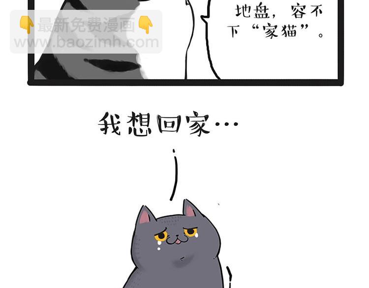 🍘吾皇巴扎黑 第165话 吾皇遇见少年之前 第40页