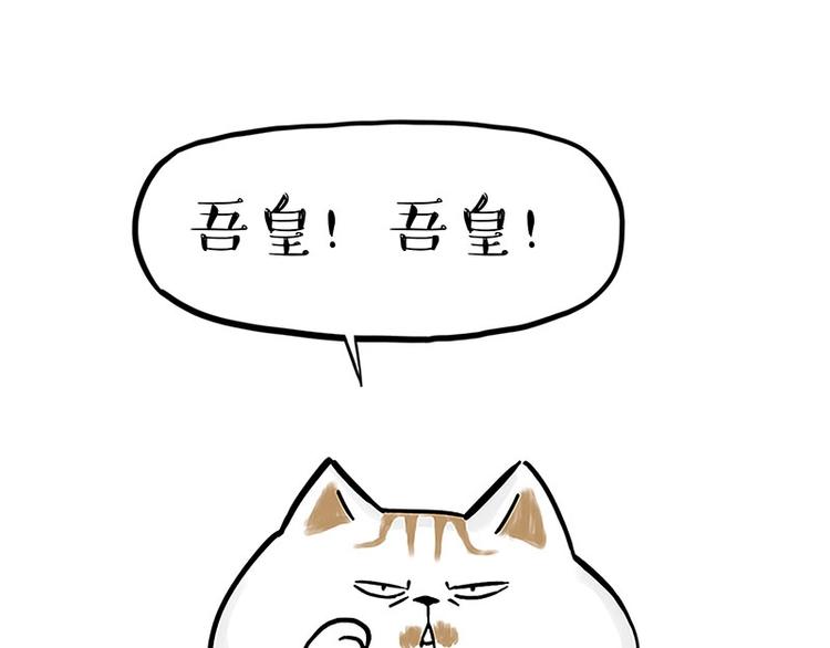 🍘吾皇巴扎黑 第167话 猫王争霸赛 第1页