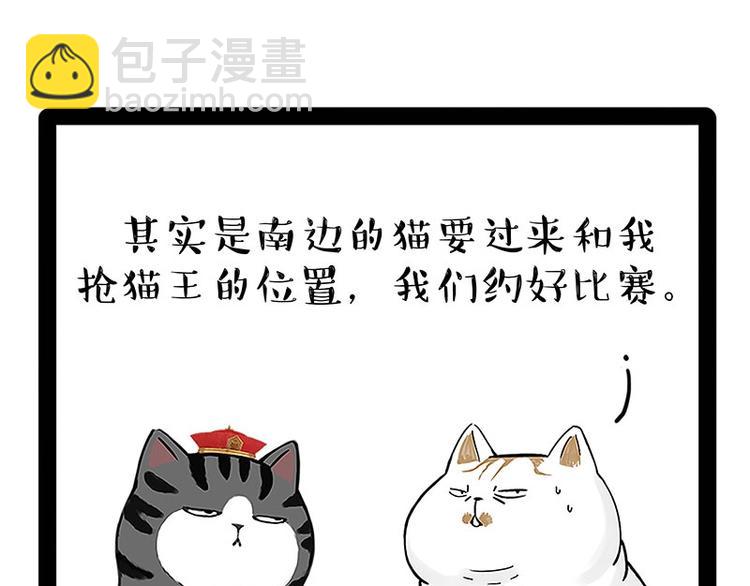 🍘吾皇巴扎黑 第167话 猫王争霸赛 第10页