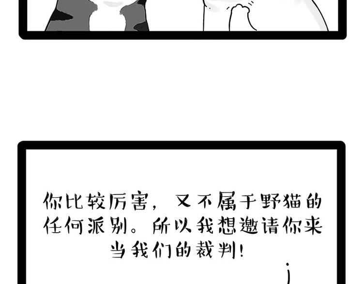 🍘吾皇巴扎黑 第167话 猫王争霸赛 第11页